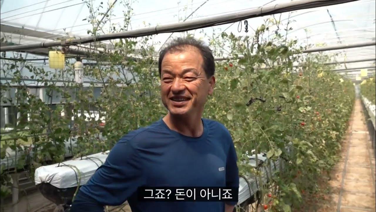 땅과사람을지키는모임 땅과사람 전통 들기름 320ml 썸네일 2