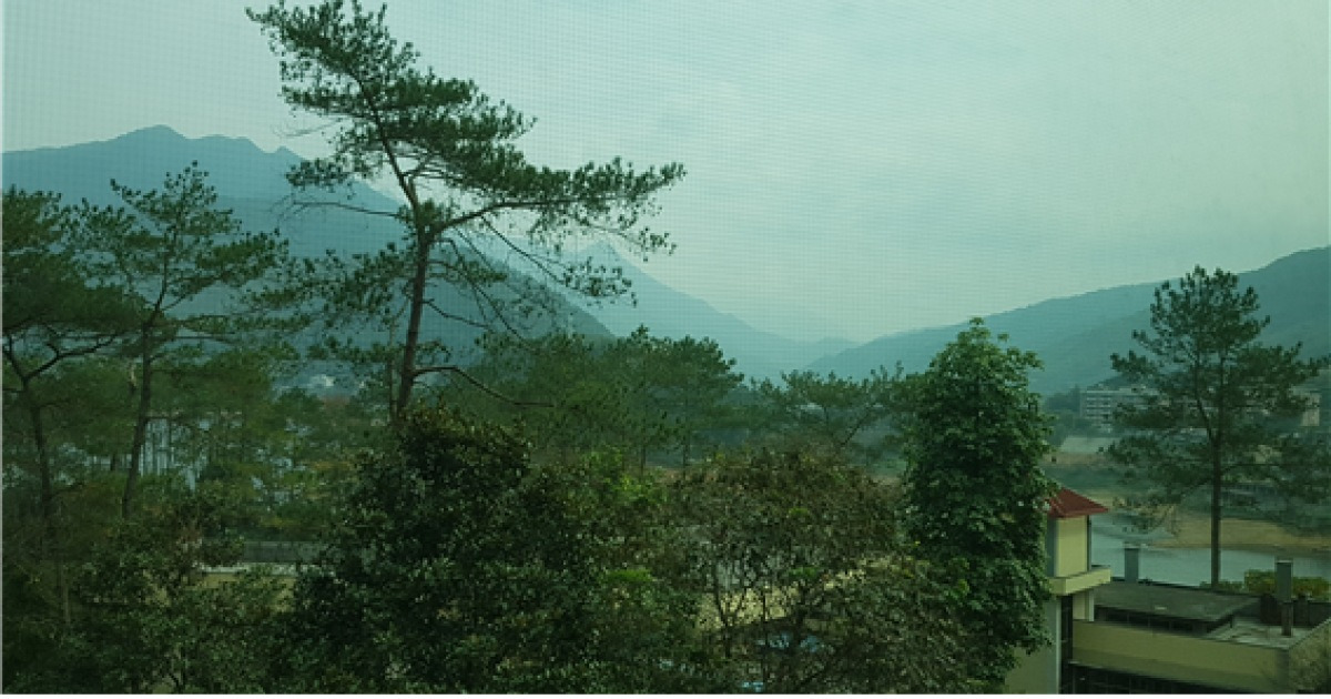 충남대홍삼(세로형) 썸네일 2
