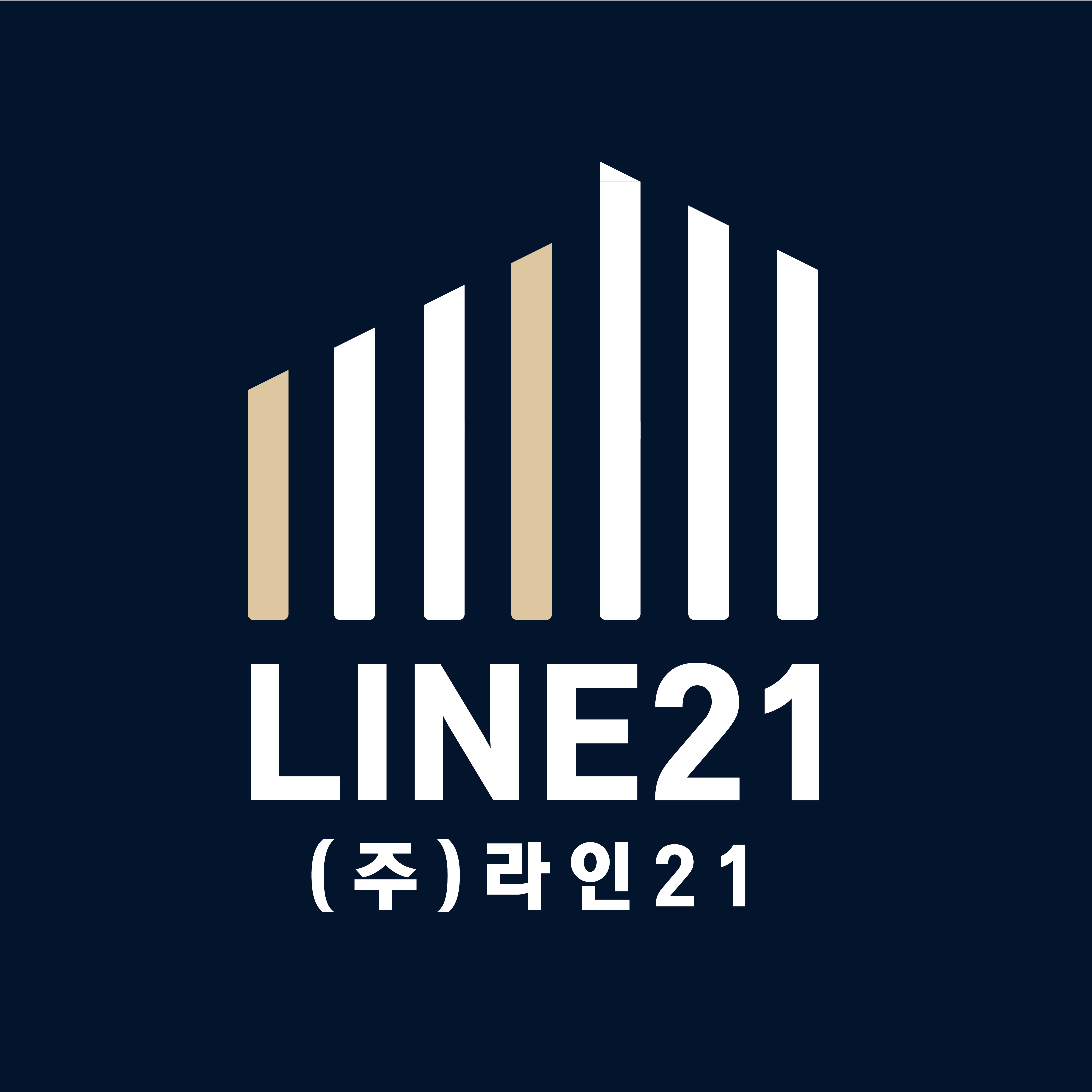 주식회사다솔면참가락생소면5KG 썸네일 3