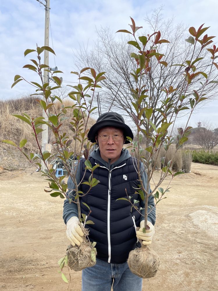 풀목산 국산콩 한식 쌈장 썸네일 3