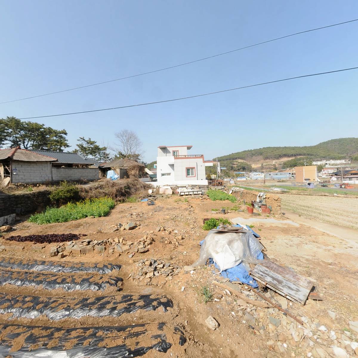 해삼홍 건해삼 일반 180 썸네일 3