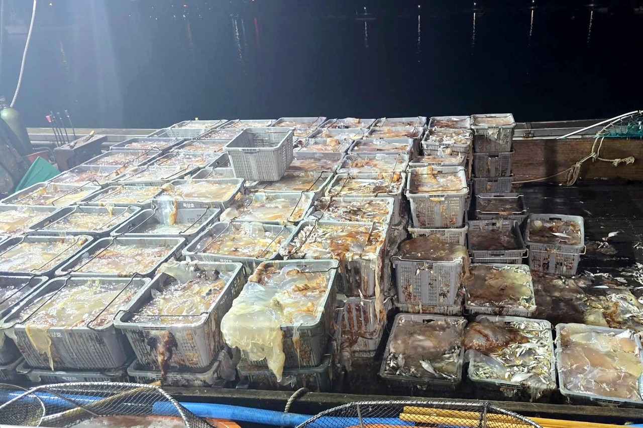 [참맛원][참맛있는 해파리][12ea][1kg] 썸네일 3