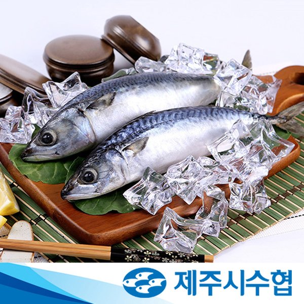 성산포수협 고등어살 1팩 썸네일 3