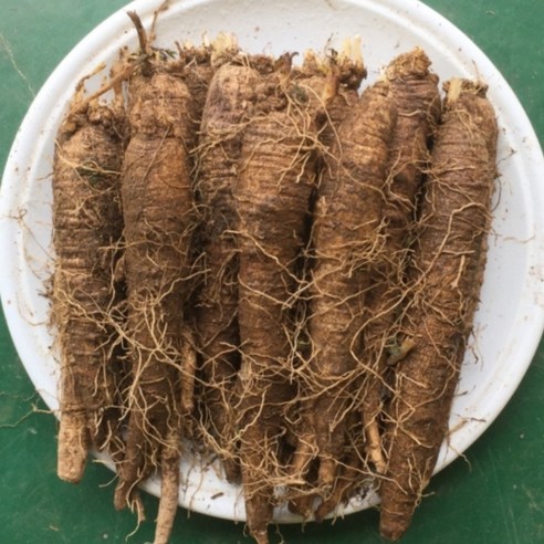 더덕간장절임 1kg 썸네일 3