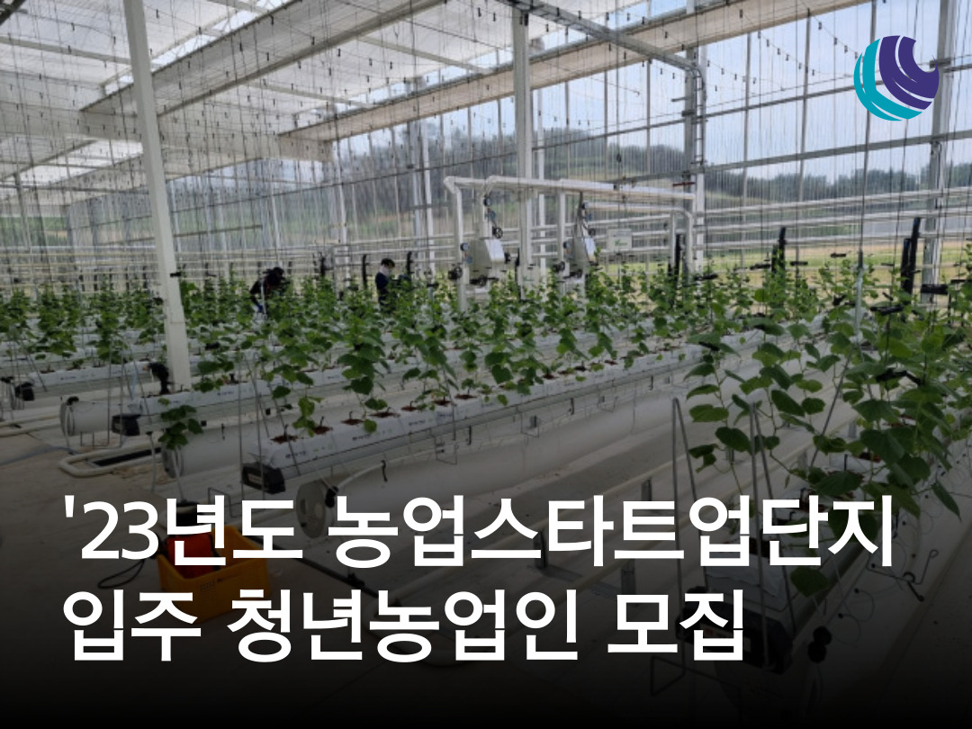 더덕원액920 썸네일 3