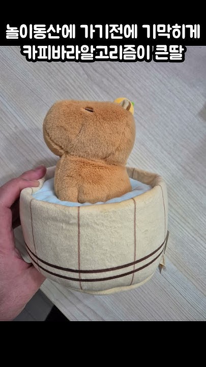 카피바라인형 썸네일 3