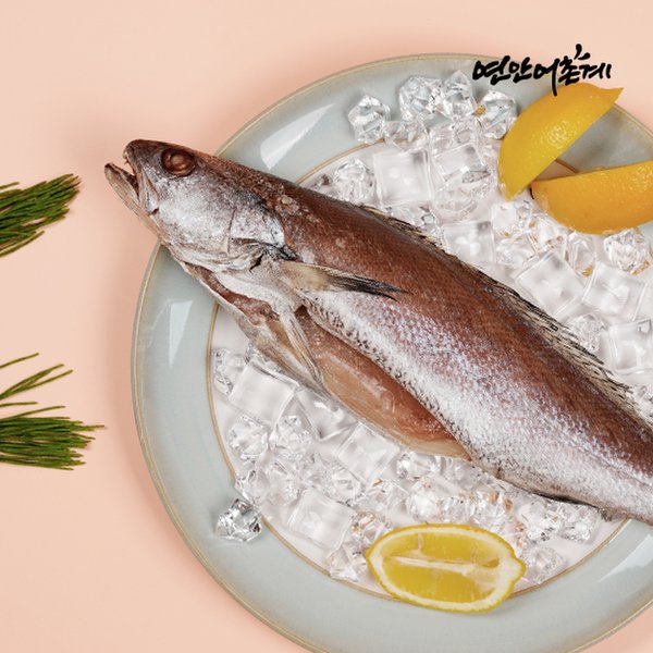 (주)은하수산 참민어 400g 썸네일 2