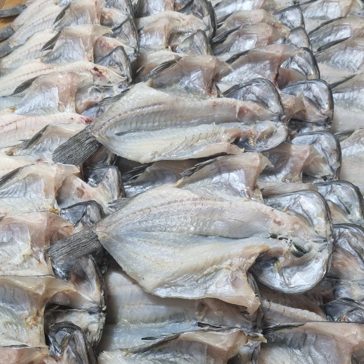 짠가오리 1.5kg 썸네일 2