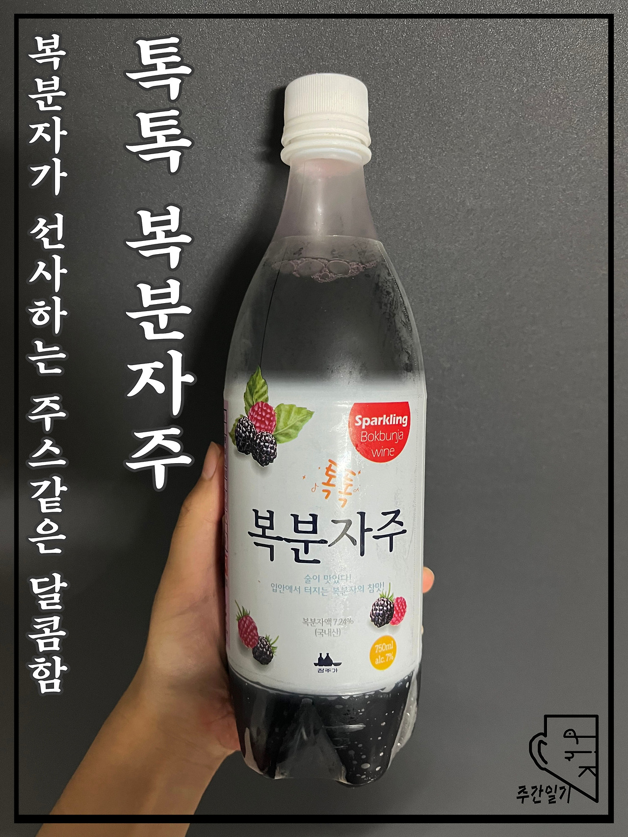 홈플러스 알뜰상품 복분자 240ml*6 썸네일 3