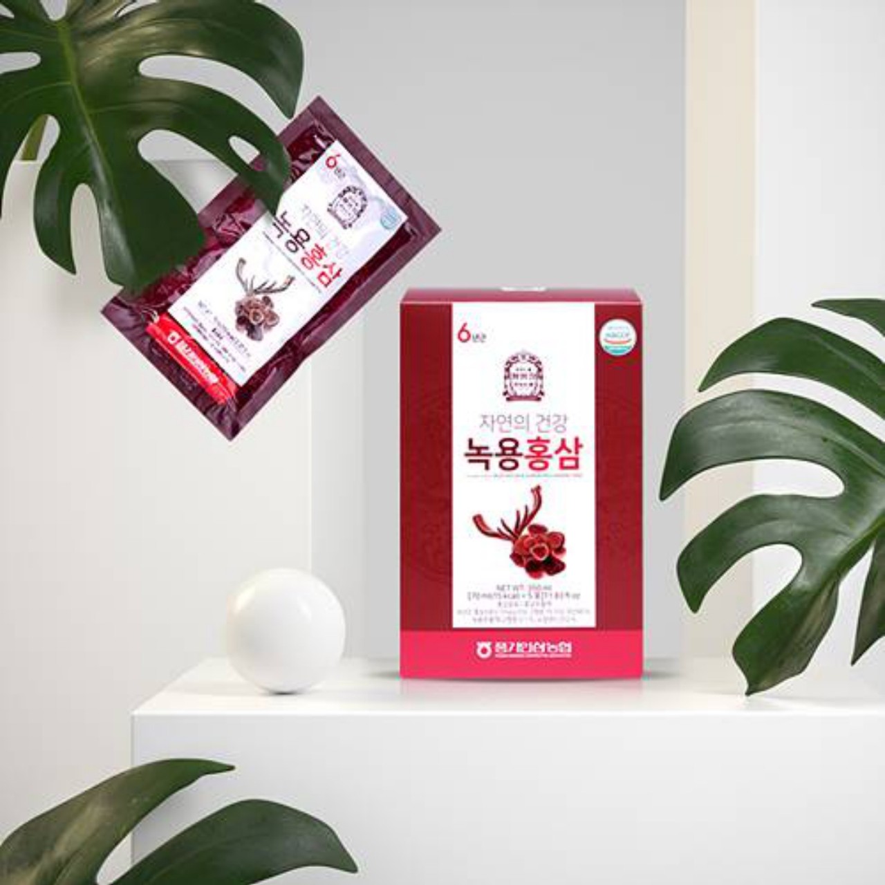 알가리성백로지후홍삼액 썸네일 2