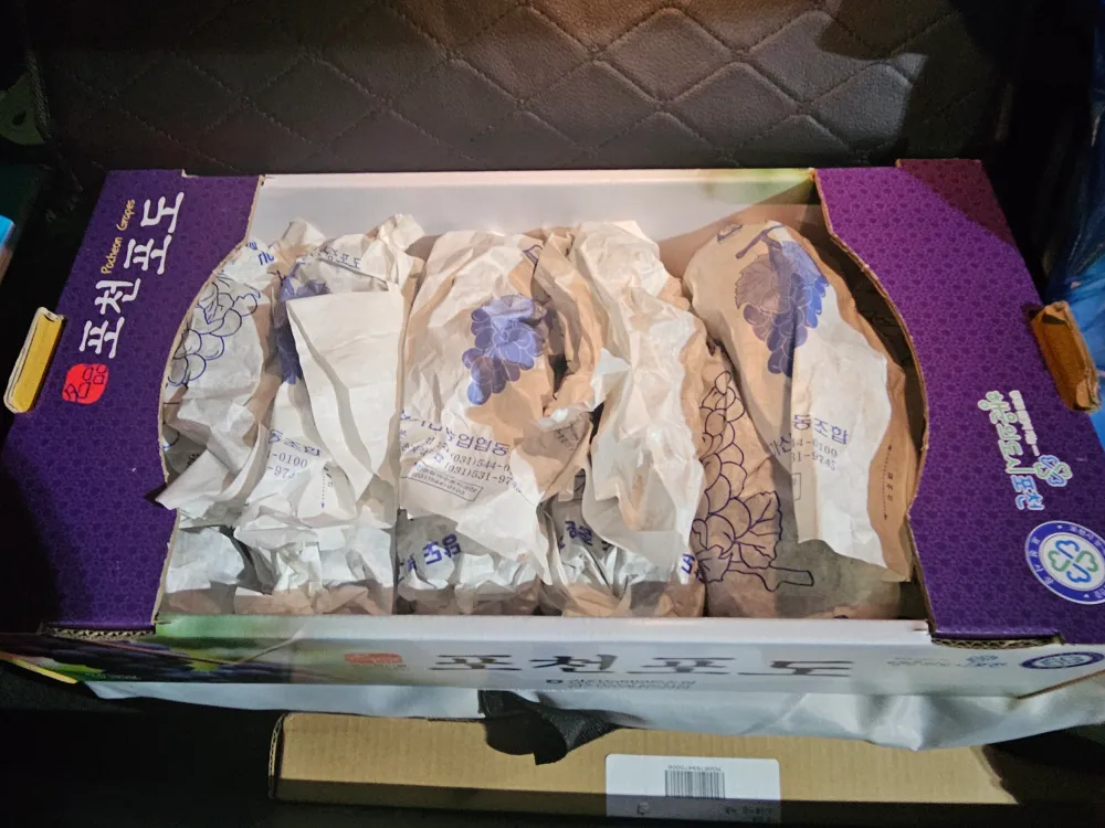 한울타리식품 올방개묵 3kg 썸네일 2