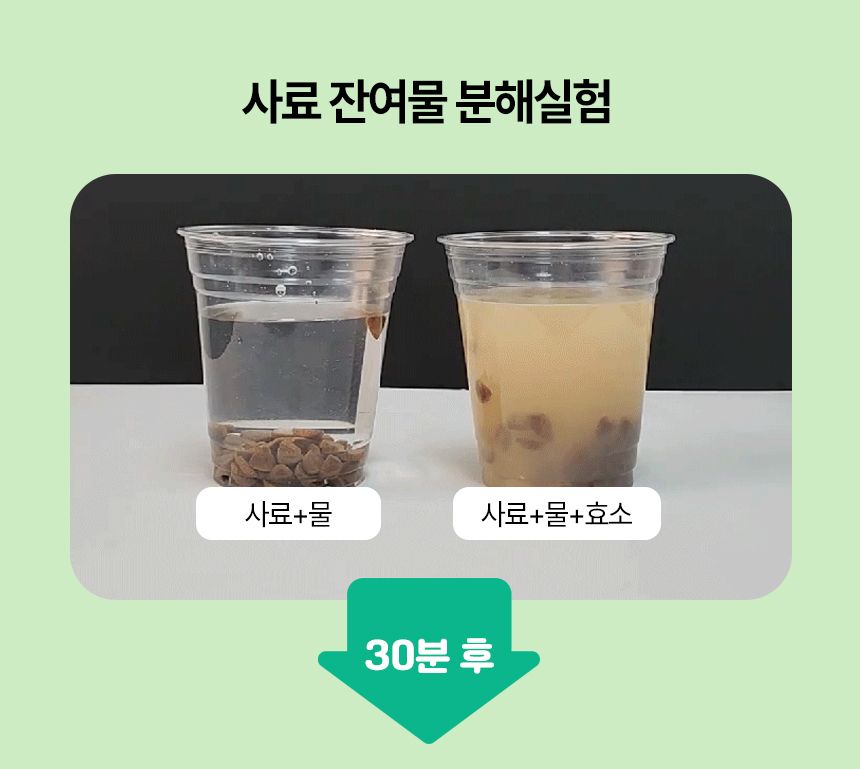 로보카폴리솜사탕(메론향) 썸네일 2