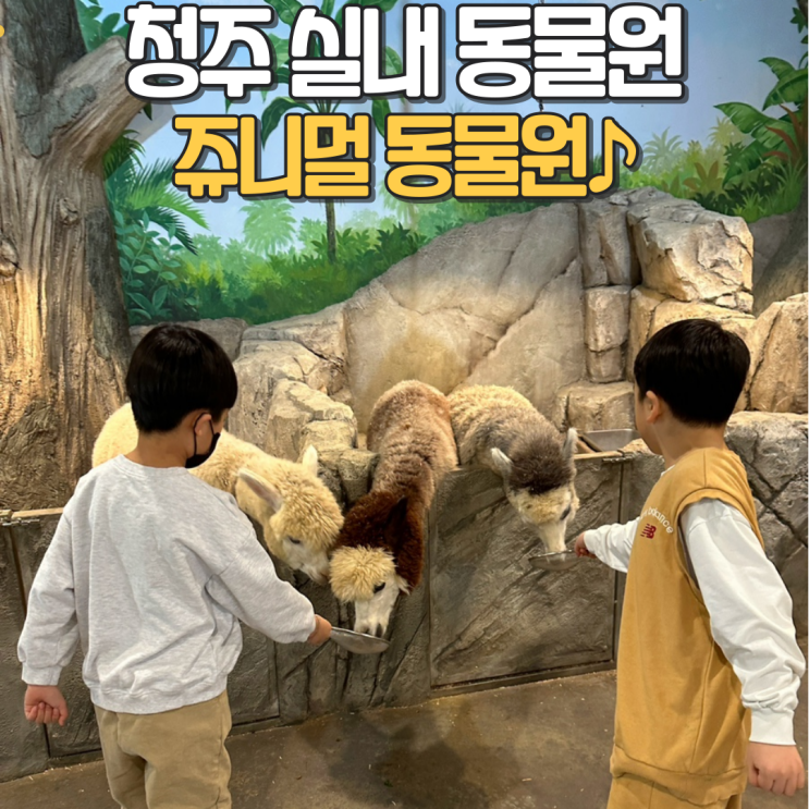 F)동물원 [C511.3] 썸네일 3