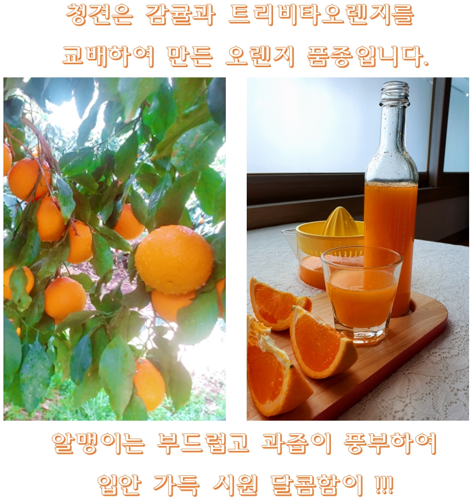 제주복분자비타골드 420 썸네일 3