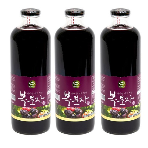 발효촌 발효초 복분자 500ml*1개 썸네일 2