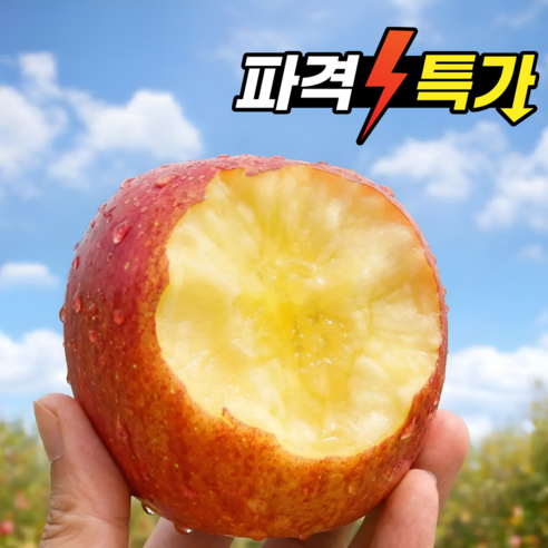 코코타임 사과 썸네일 3