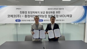 솔잎환 썸네일 2