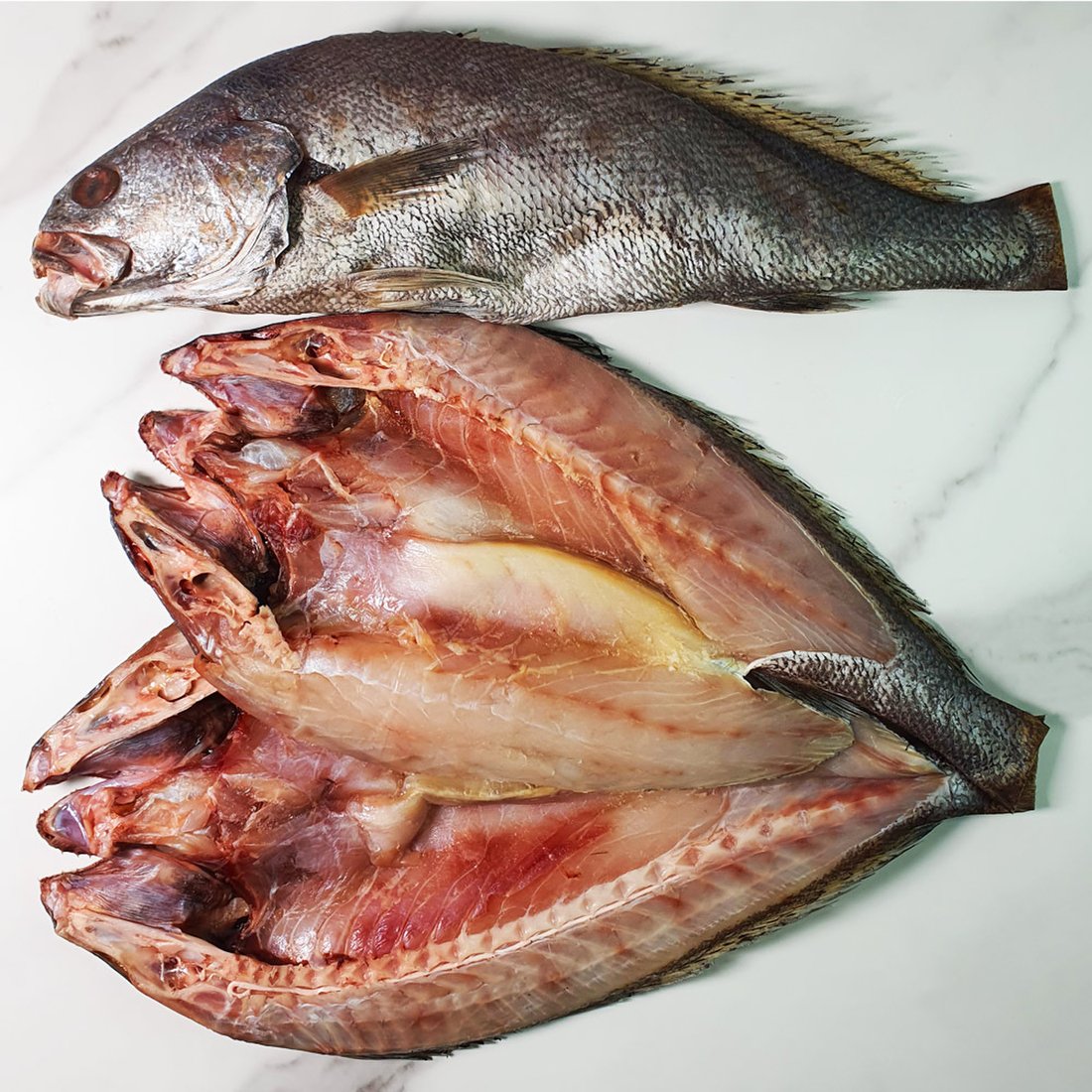 오징어할복(무탈피) 1kg(3~4미) 썸네일 2