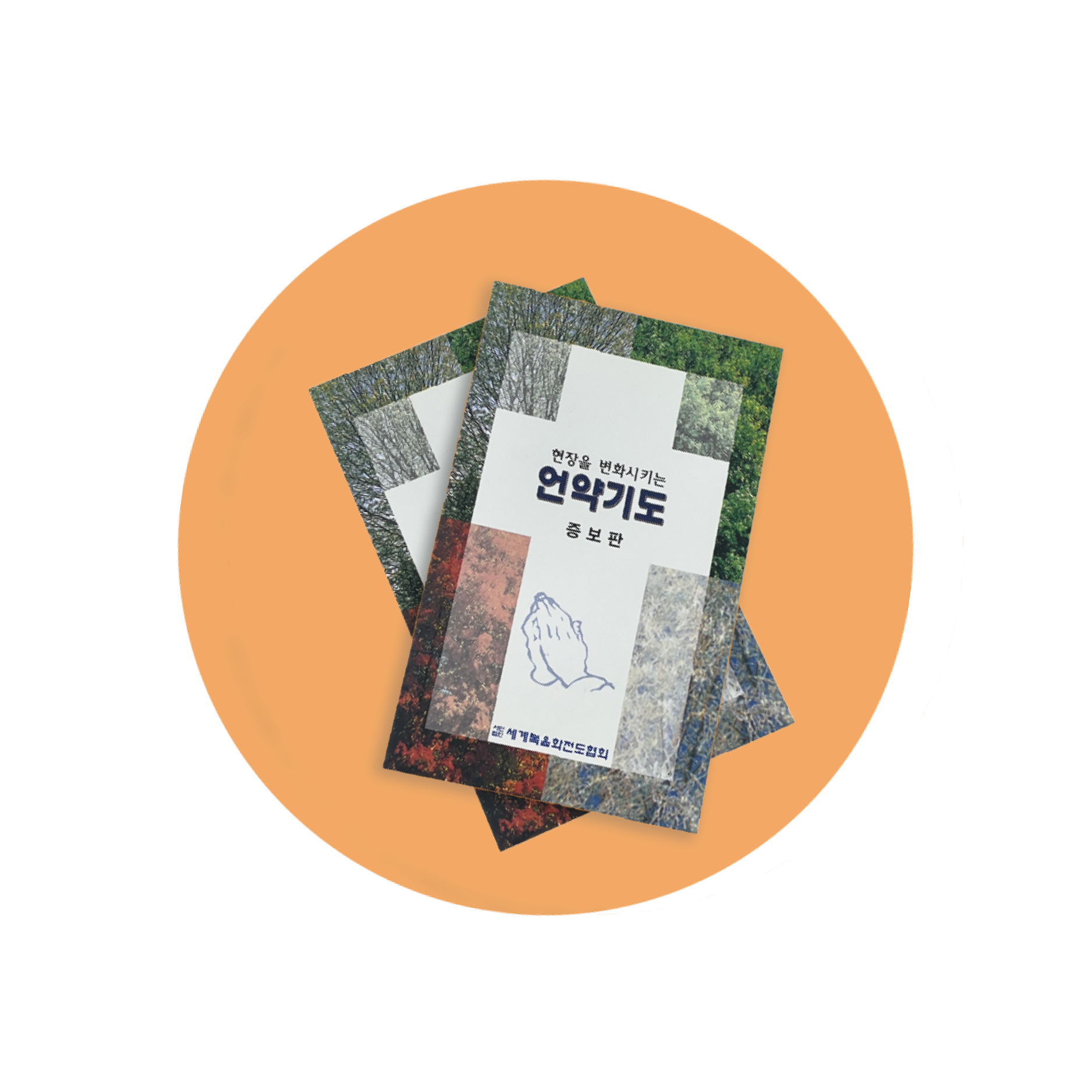 언약 꿀먹은 양파 300G 썸네일 3