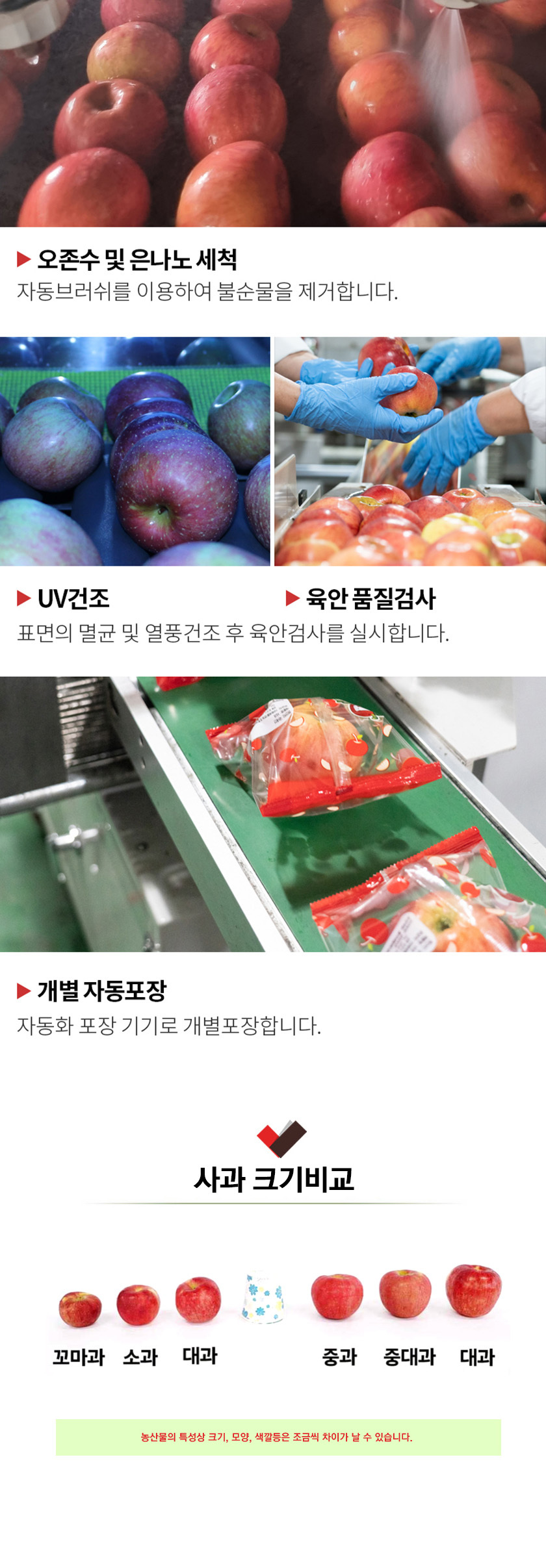 양념속3kg 썸네일 2
