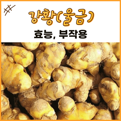 김포농식품가공영농조합법인 나노건강과립(울금)) 180G x 1EA 썸네일 3
