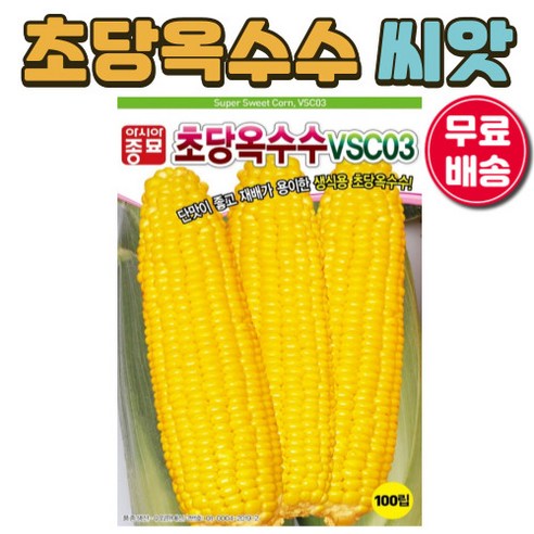 옥수수 쫄쫄이 썸네일 3