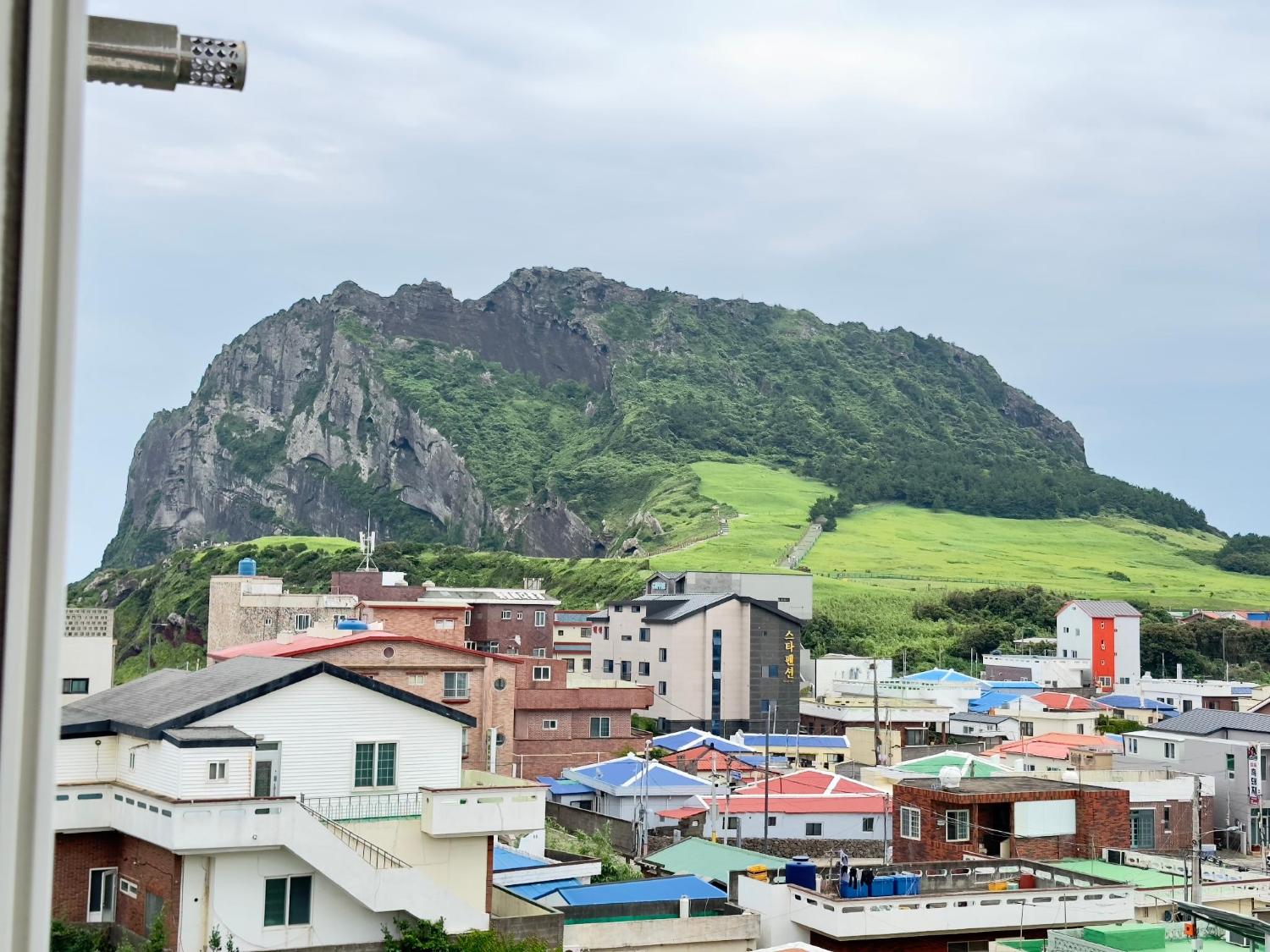 푸른제주 바나나초콜릿BB255 썸네일 2