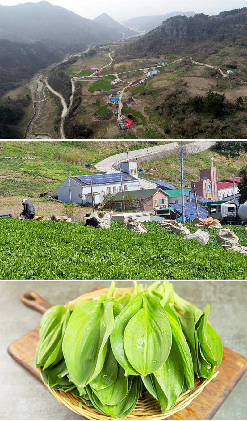 해산촌 명이절임 썸네일 3