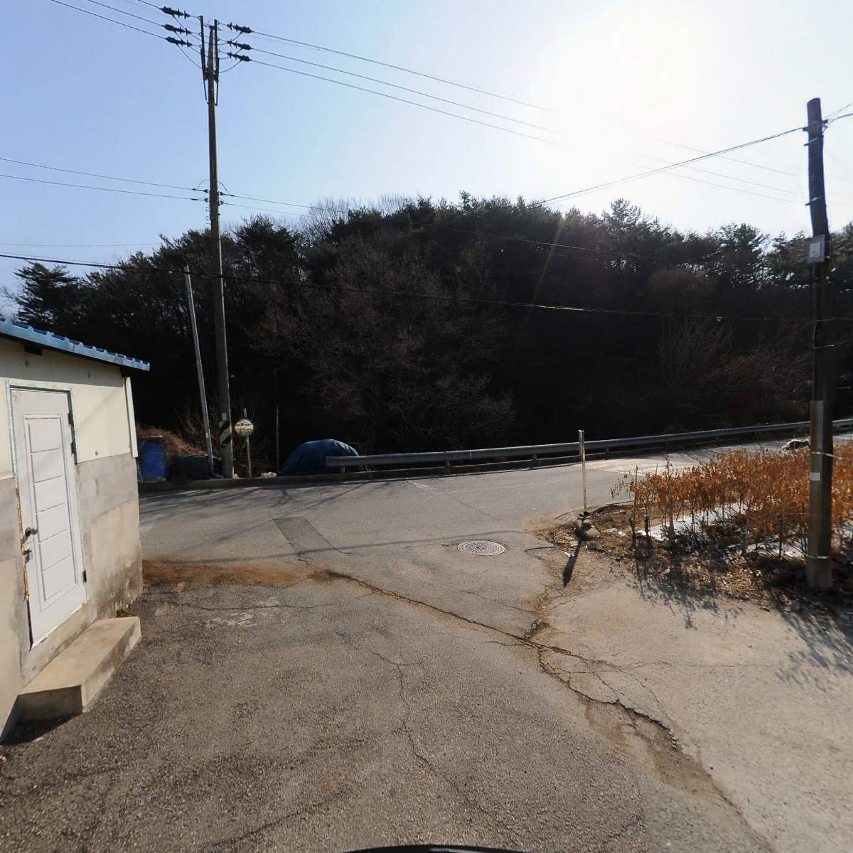 어성초 간장 500ml-면세 썸네일 2