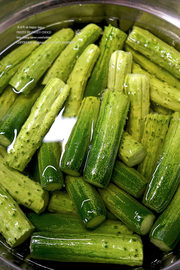 (주)운림가 오이소박이 500g 썸네일 3