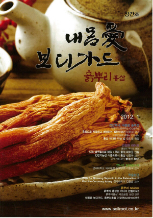 흙뿌리 내몸愛홍삼추출액 10포-B타입(보급형)*80ml 총 800ml 썸네일 2