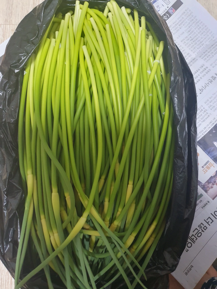 마늘쫑 1kg 썸네일 2