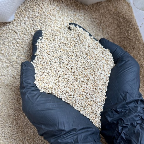 늘품&J볶음참깨5kg(중국산) 썸네일 3