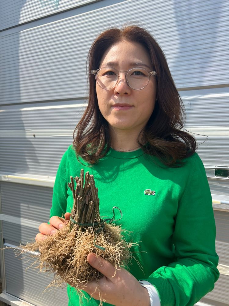 화살나무음료 0.5L 썸네일 3