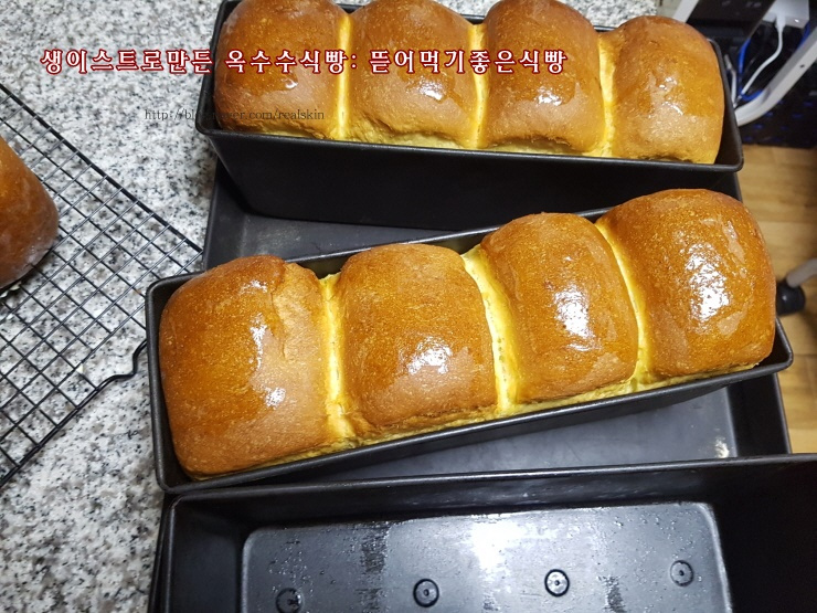 옥수수식빵 썸네일 3