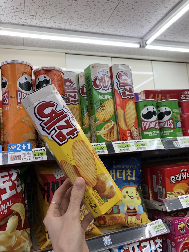 더탱글마이구미 썸네일 2