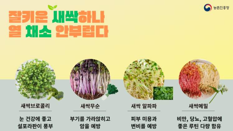 바이오식품웰빙엄마마음즉석맘마 새싹채소모음 썸네일 3