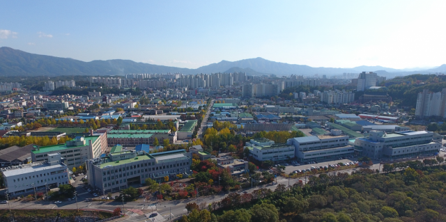 춘천바이오산업진흥원 바이오홍삼원  x 1EA 썸네일 3