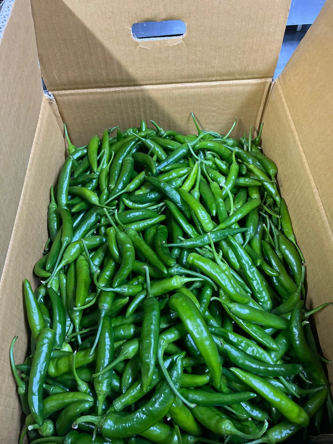 산천고추 1kg 썸네일 2
