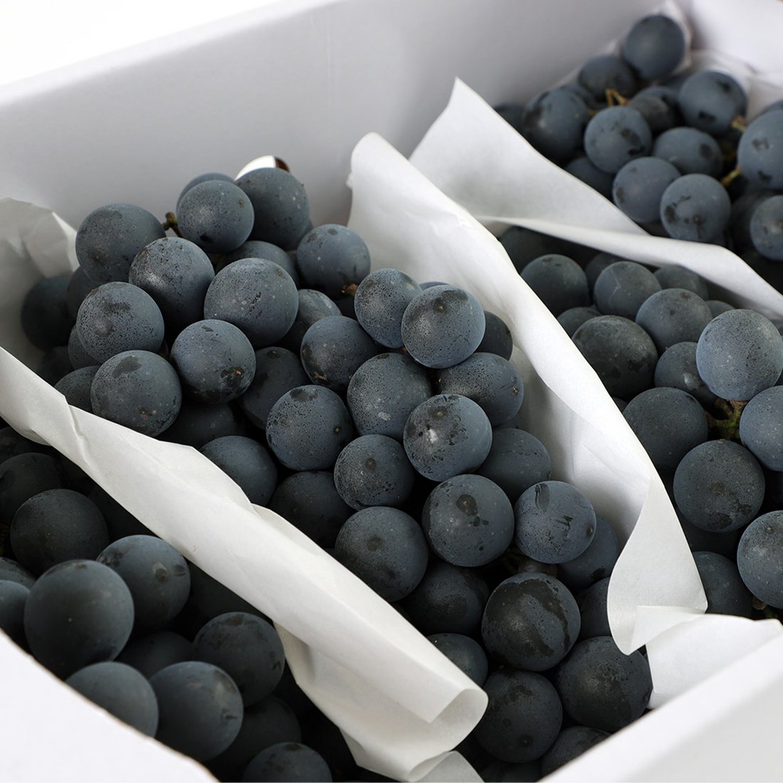 (주)웰팜 자연원 갓 짜낸 100% 머루포도 1000G x 1EA 썸네일 2