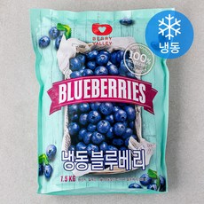 티젠 베리나이스 블루베리 썸네일 2