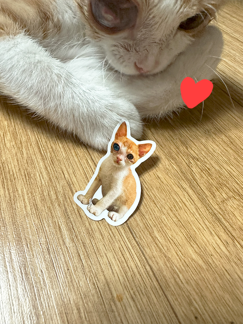 3ㅡ3 우주 / 안냥 리무버 스티커-일상2 썸네일 3