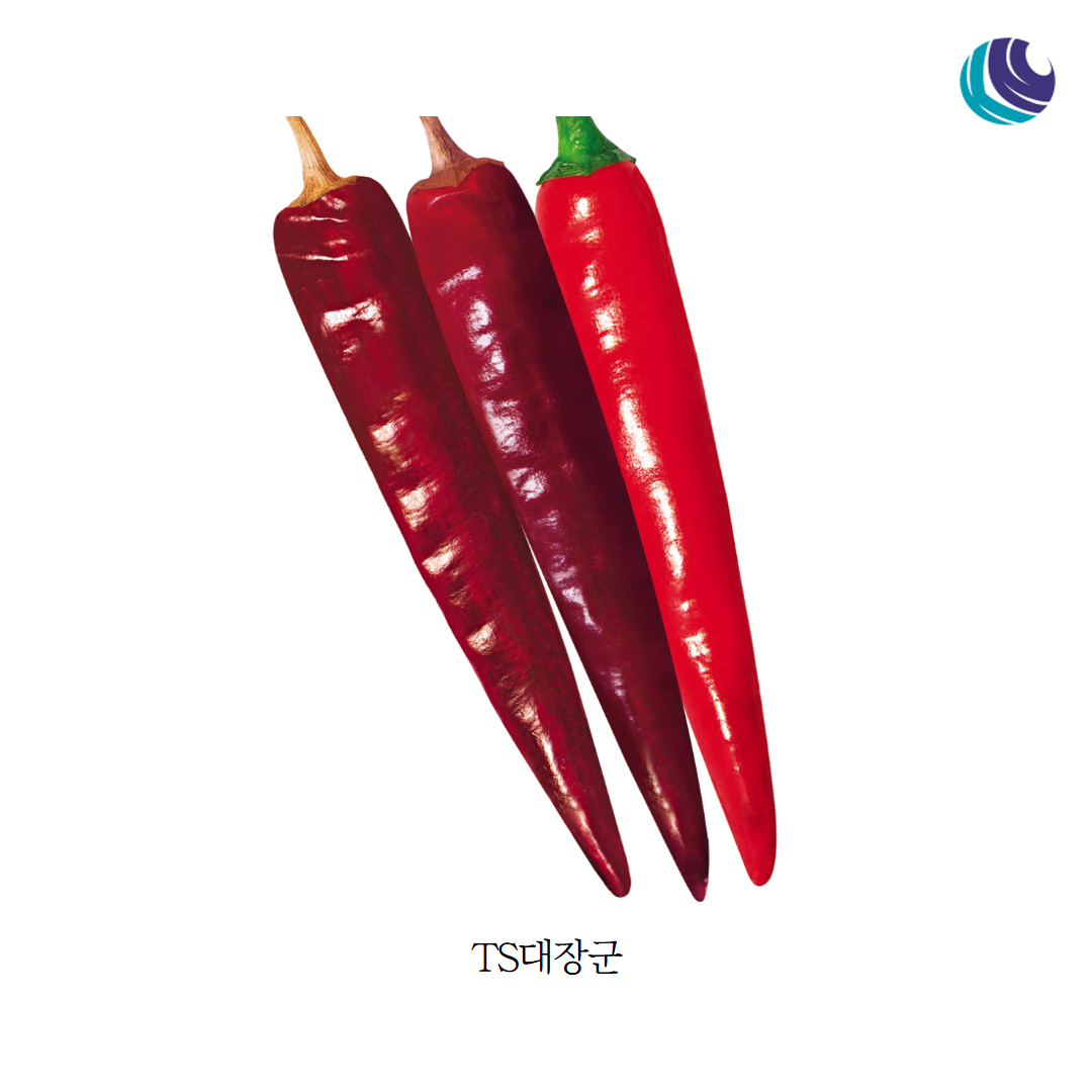 하이안 말랑말랑사과 1개 300g 썸네일 3