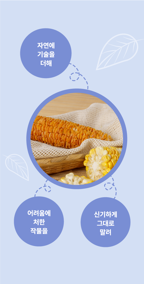 청울외 썸네일 3