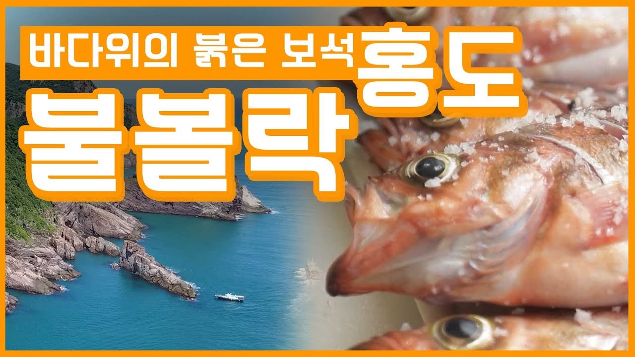바다뜨레 만제도 불볼락 썸네일 2