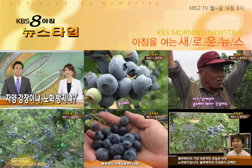 밝은세상 써어티원 1000G x 3EA 썸네일 2