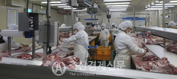 삼성식품 초이스엘호두양갱 55G 썸네일 2