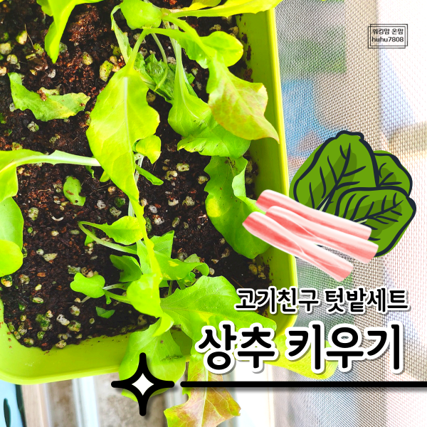 고기친구텃밭세트 썸네일 2