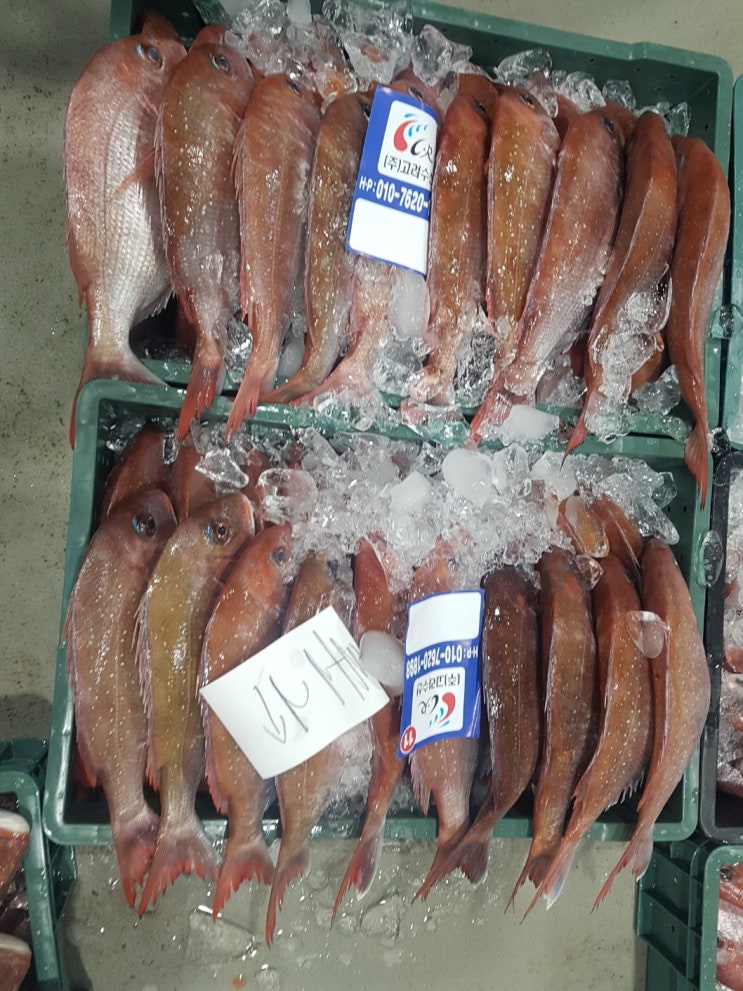 고려수산 들기름으로구운우리바다우리김 썸네일 2
