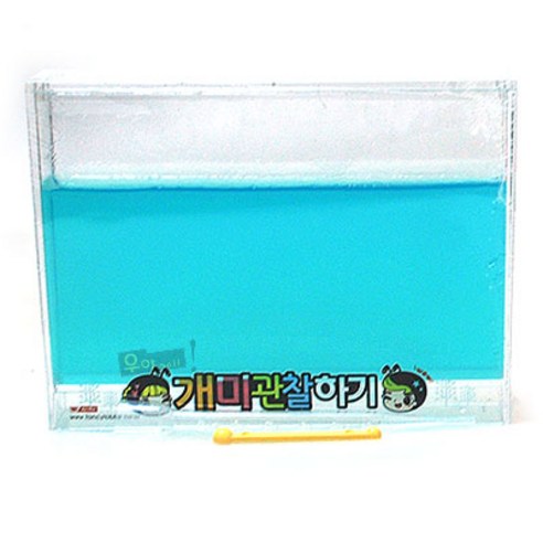 Y)개미관찰하기 썸네일 2